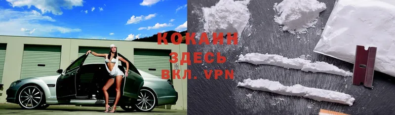 дарк нет состав  Касимов  COCAIN FishScale 